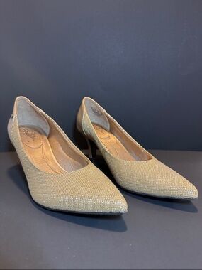 Women's Shimmery Gold Pointed Low Heel Pumps